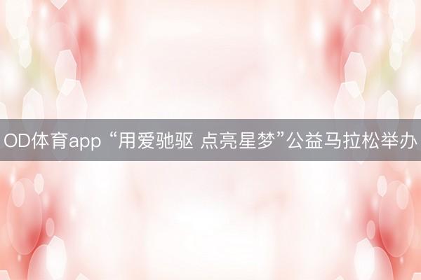 OD体育app “用爱驰驱 点亮星梦”公益马拉松举办