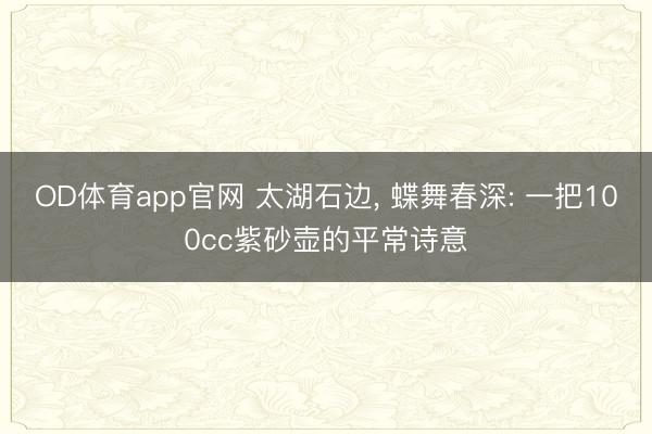 OD体育app官网 太湖石边， 蝶舞春深: 一把100cc紫砂壶的平常诗意