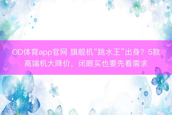 OD体育app官网 旗舰机“跳水王”出身？5款高端机大降价，闭眼买也要先看需求