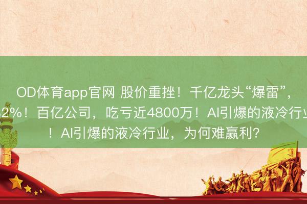 OD体育app官网 股价重挫！千亿龙头“爆雷”，1季度净利暴跌82%！百亿公司，吃亏近4800万！AI引爆的液冷行业，为何难赢利？