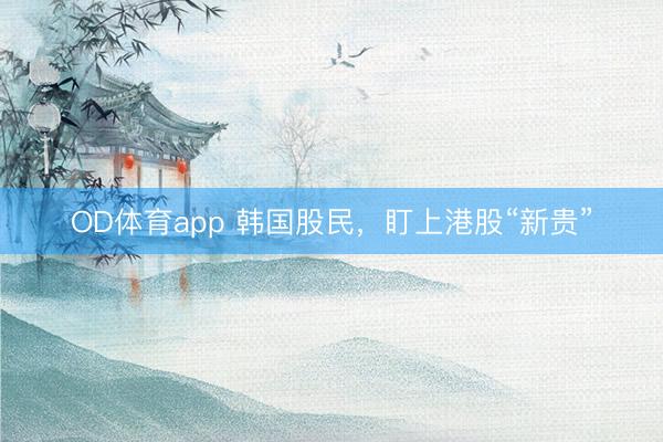 OD体育app 韩国股民，盯上港股“新贵”