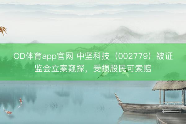 OD体育app官网 中坚科技（002779）被证监会立案窥探，受损股民可索赔