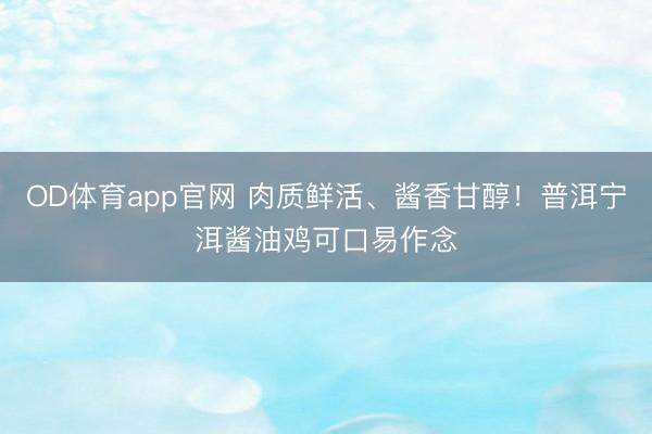 OD体育app官网 肉质鲜活、酱香甘醇！普洱宁洱酱油鸡可口易作念