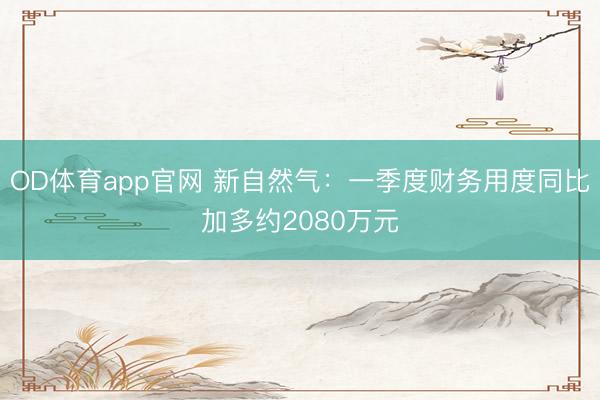 OD体育app官网 新自然气：一季度财务用度同比加多约2080万元
