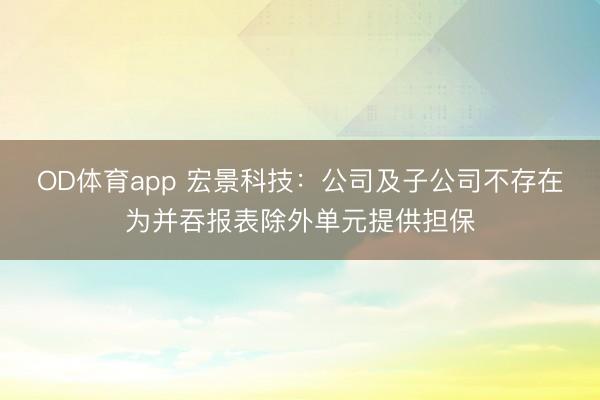 OD体育app 宏景科技：公司及子公司不存在为并吞报表除外单元提供担保