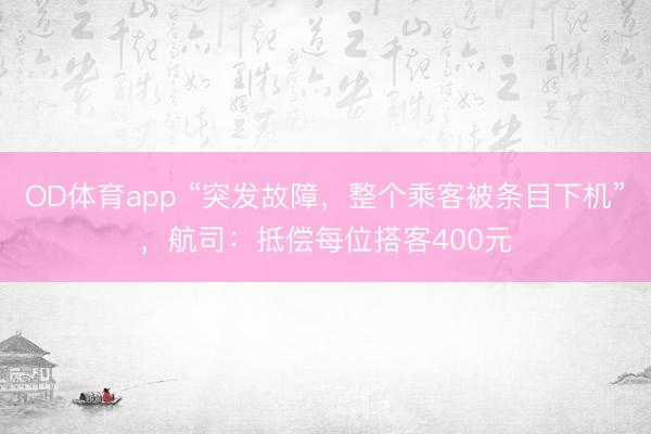 OD体育app “突发故障，整个乘客被条目下机”，航司：抵偿每位搭客400元