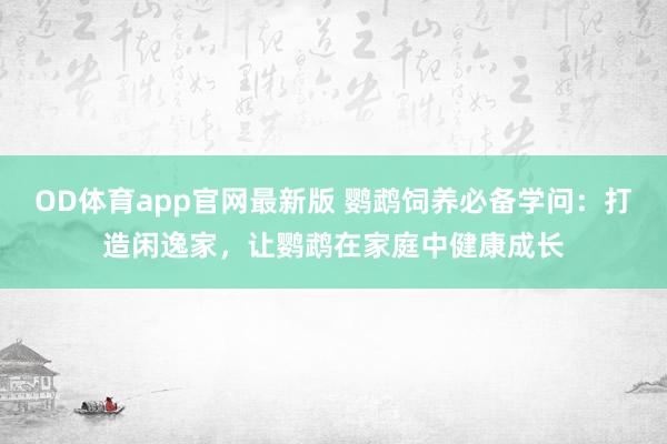 OD体育app官网最新版 鹦鹉饲养必备学问:打造闲逸家,让鹦鹉在家庭中健康成长