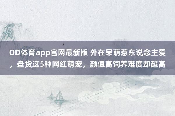 OD体育app官网最新版 外在呆萌惹东说念主爱,盘货这5种网红萌宠,颜值高饲养难度却超高