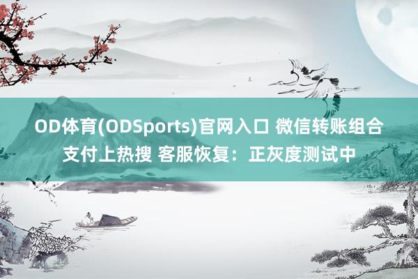 OD体育(ODSports)官网入口 微信转账组合支付上热搜 客服恢复:正灰度测试中
