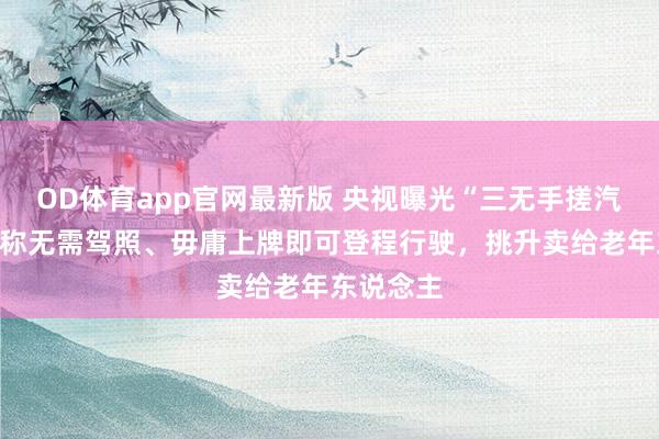 OD体育app官网最新版 央视曝光“三无手搓汽车”:堪称无需驾照、毋庸上牌即可登程行驶,挑升卖给老年东说念主