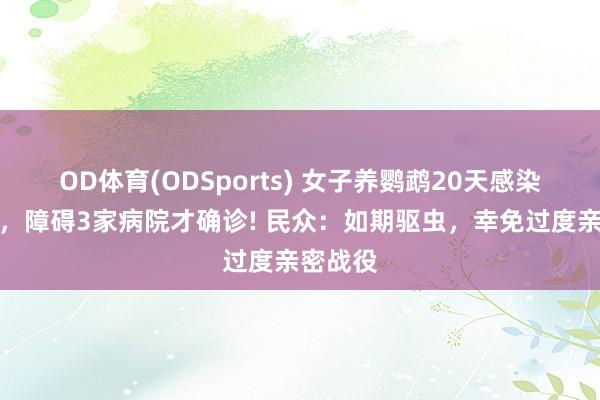 OD体育(ODSports) 女子养鹦鹉20天感染寄生虫,障碍3家病院才确诊! 民众:如期驱虫,幸免过度亲密战役