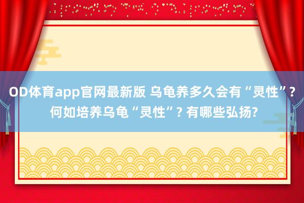 OD体育app官网最新版 乌龟养多久会有“灵性”? 何如培养乌龟“灵性”? 有哪些弘扬?