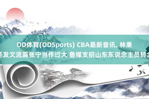 OD体育(ODSports) CBA最新音讯, 林秉圣发文流露张宁当作过大 鲁媒支招山东东说念主员转念