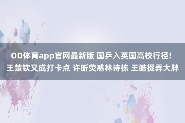 OD体育app官网最新版 国乒入英国高校行径! 王楚钦又成打卡点 许昕荧惑林诗栋 王皓捉弄大胖