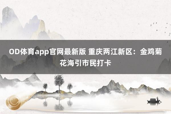 OD体育app官网最新版 重庆两江新区:金鸡菊花海引市民打卡