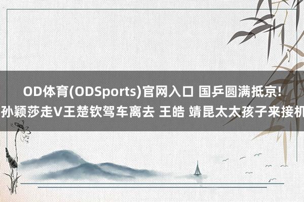 OD体育(ODSports)官网入口 国乒圆满抵京! 孙颖莎走V王楚钦驾车离去 王皓 靖昆太太孩子来接机