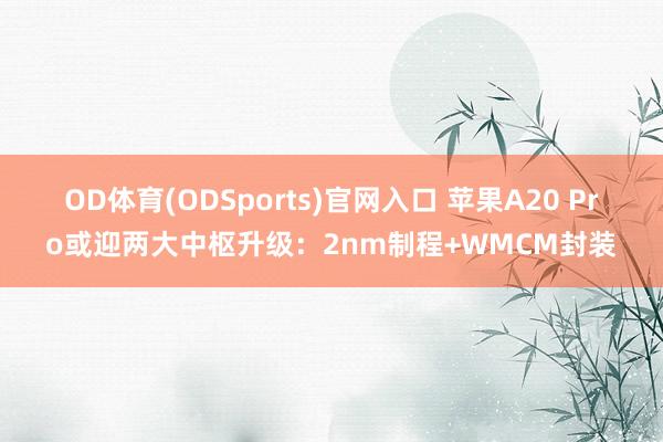 OD体育(ODSports)官网入口 苹果A20 Pro或迎两大中枢升级:2nm制程+WMCM封装