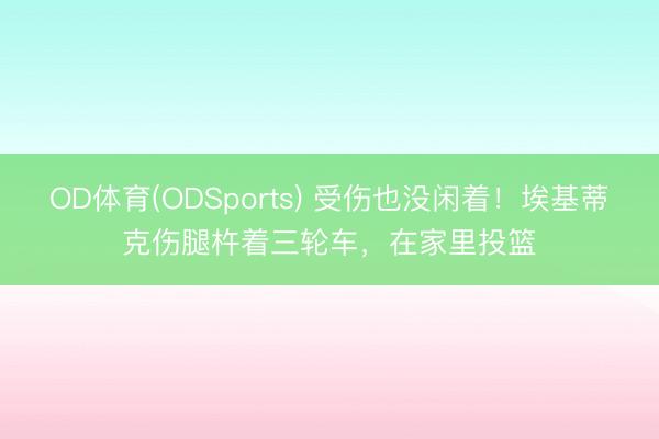 OD体育(ODSports) 受伤也没闲着！埃基蒂克伤腿杵着三轮车，<a href=