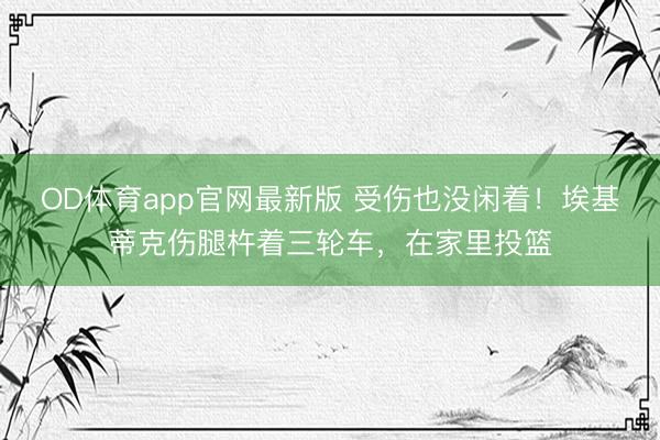 OD体育app官网最新版 受伤也没闲着！埃基蒂克伤腿杵着三轮车，<a href=