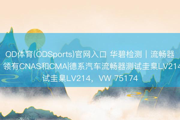 OD体育(ODSports)官网入口 华碧检测|流畅器线束测试机构| 领有CNAS和CMA|德系汽车流畅器测试圭臬LV214,VW 75174