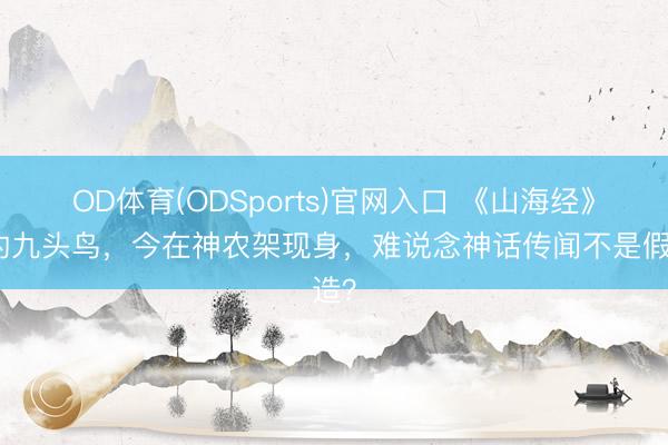 OD体育(ODSports)官网入口 《山海经》中的九头鸟,今在神农架现身,难说念神话传闻不是假造?