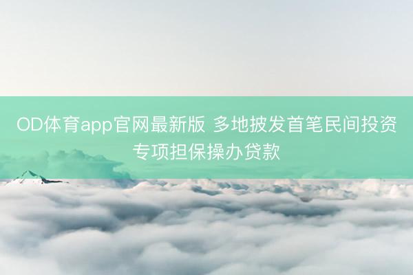 OD体育app官网最新版 多地披发首笔民间投资专项担保操办贷款