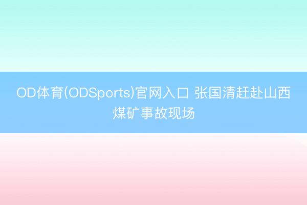 OD体育(ODSports)官网入口 张国清赶赴山西煤矿事故现场