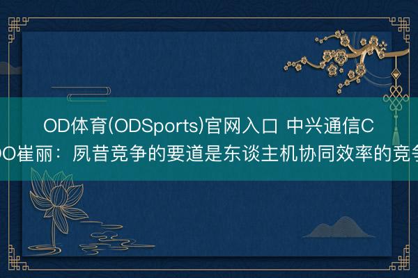 OD体育(ODSports)官网入口 中兴通信CDO崔丽:夙昔竞争的要道是东谈主机协同效率的竞争
