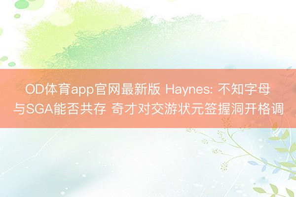OD体育app官网最新版 Haynes: 不知字母与SGA能否共存 奇才对交游状元签握洞开格调
