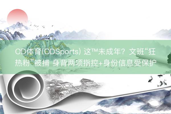 OD体育(ODSports) 这™未成年?文班“狂热粉”被捕 身背两项指控+身份信息受保护