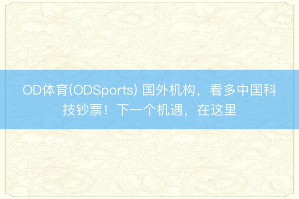 OD体育(ODSports) 国外机构,看多中国科技钞票!下一个机遇,在这里