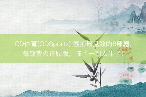 OD体育(ODSports) 翻拍最见效的6部剧,每部皆火过原版,临了一部太牛了!