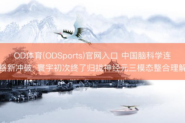 OD体育(ODSports)官网入口 中国脑科学连络新冲破: 寰宇初次终了归拢神经元三模态整合理解