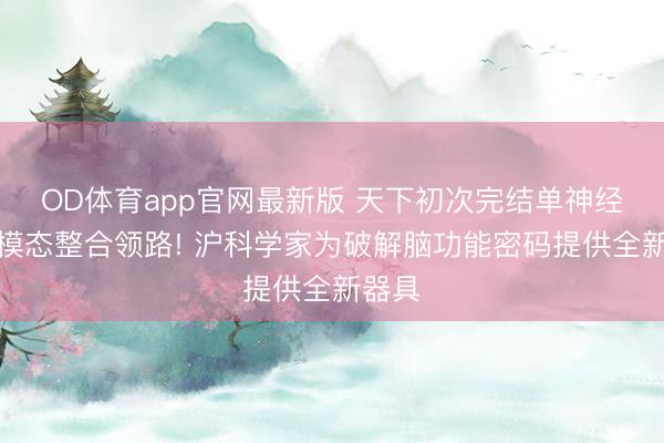 OD体育app官网最新版 天下初次完结单神经元三模态整合领路! 沪科学家为破解脑功能密码提供全新器具