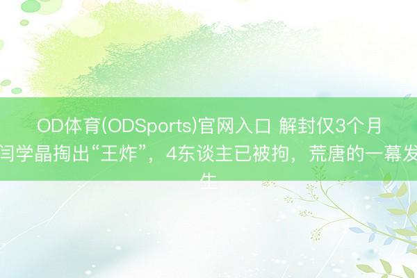 OD体育(ODSports)官网入口 解封仅3个月,闫学晶掏出“王炸”,4东谈主已被拘,荒唐的一幕发生